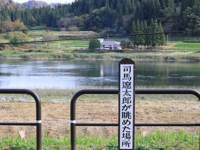 �i�n�ɑ��N�����Ă���_�͈�p�V���L�O��