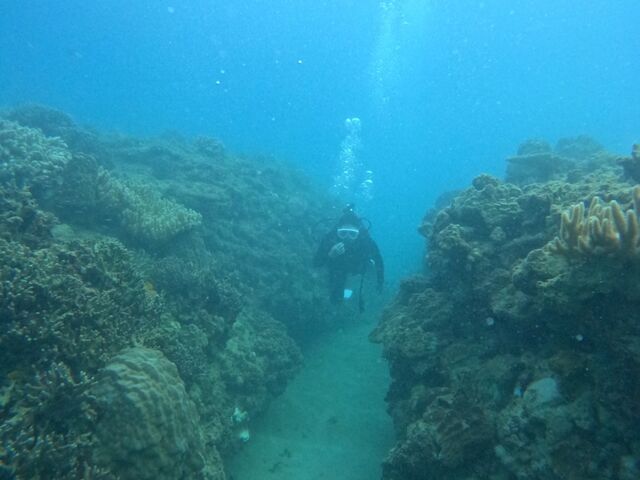 �y���������I_CHILL DIVE