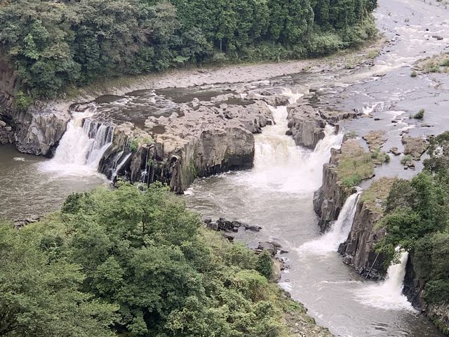 Ђłۂ񂳂啂̑̓eʐ^1