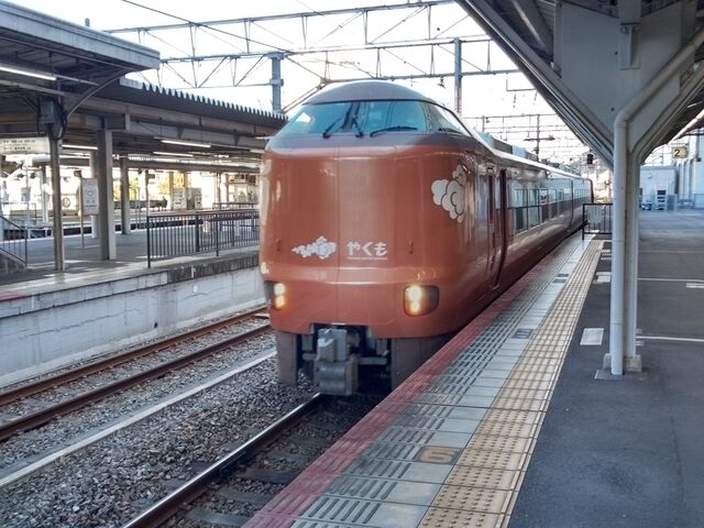 �V�^�̓��}�₭��_�i�q���R�w