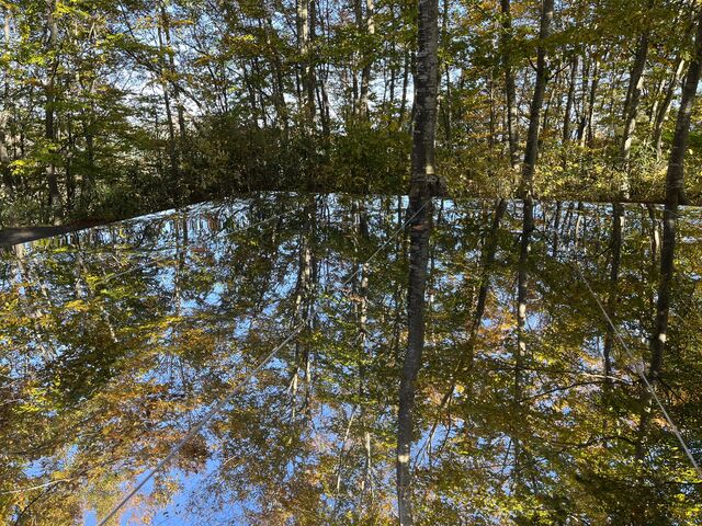 XeXɉfĂ邾Ȃ̂ɁABĂ܂_C_