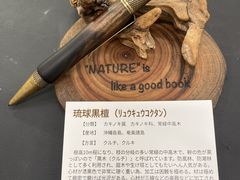 䂸AGESBASE ȂH|̓mH[ւ̓eʐ^1