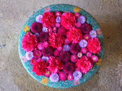 jR񂳂̈bώRւ̓eʐ^1