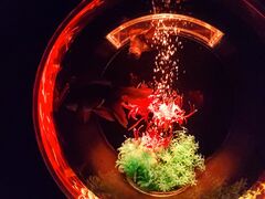 ق̂ڂ̂̃A[gANAEp GINZAւ̓eʐ^1