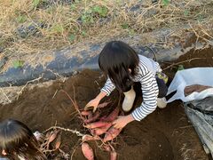 �܂ߎq2����̎��R�ِ�ւ̓��e�ʐ^1