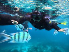 IK񂳂̃}Nu Gigiւ̓eʐ^1