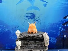 ɂ񂳂̏Í`[Cف`V[JXE~[WA`ւ̓eʐ^1