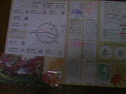 Tv̘Z`@򐅒rȂ̓eʐ^1