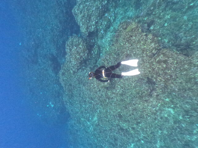 �K�C�h���񂪎B���Ă��������܂����I_Kahoo_ishigaki