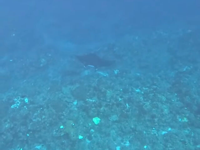 ���̓J�����������Ă��Ȃ������̂ł����A���������}���^�ł��I_Kahoo_ishigaki