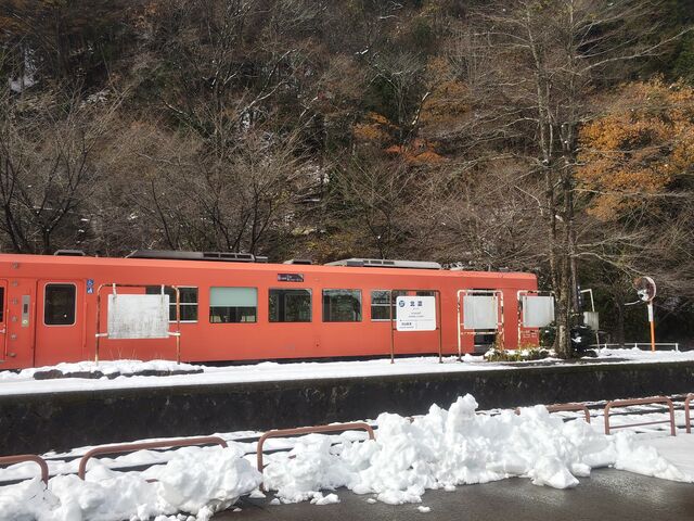 Iw̖kZwł́AgtƐiF̗y߂܂_kZw