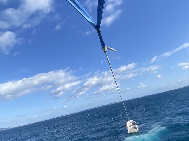 �オ���Ă����r��_�v����VIVA�p���Z�[�����O