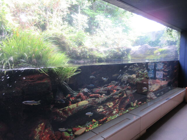 񂳂̓̉w 悢 ԏȊق̓eʐ^3