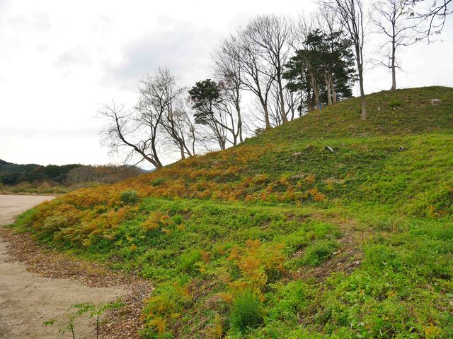 ��~���̎Ζʂƃe���X_�Ԗ쒶�q�R�Õ�