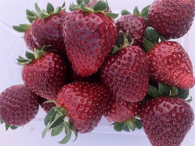 �Â��I_���t䕉�