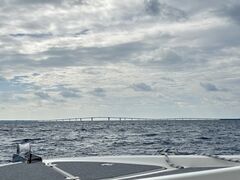 ݂̂񂳂̋{ÓpZ[O all good marine 385ւ̓eʐ^1