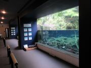 񂳂̓̉w 悢 ԏȊق̓eʐ^1