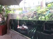 񂳂̓̉w 悢 ԏȊق̓eʐ^2