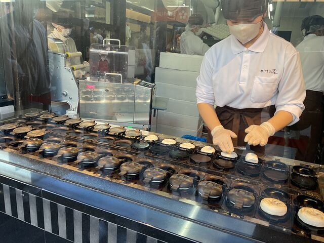 �~���}�݂��Ă��Ă�����i�����z���Ɍ����܂�_�~���}��