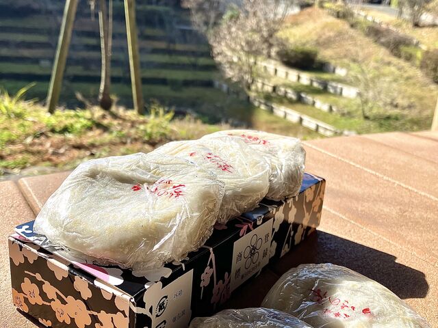 �e�C�N�A�E�g�p�̔~���}�݂͔M�X�������̂ł����Ƃ�_�炩�ł��B��������������ł��B_�~���}��