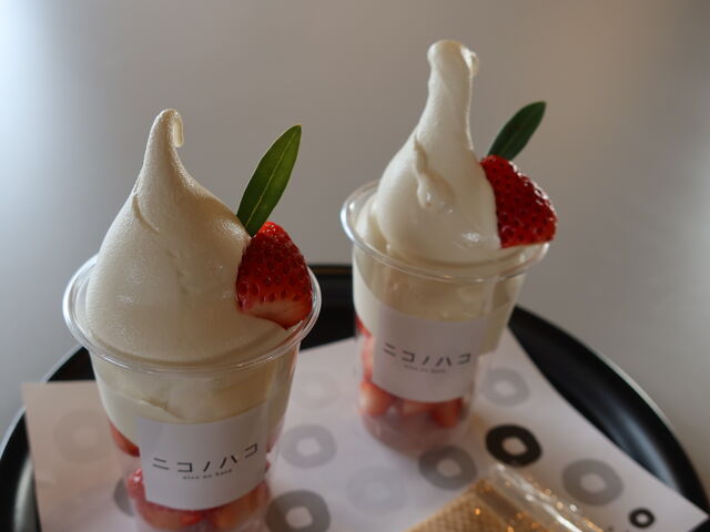 yosshynicoh[icoX(jRmnR)̓eʐ^5