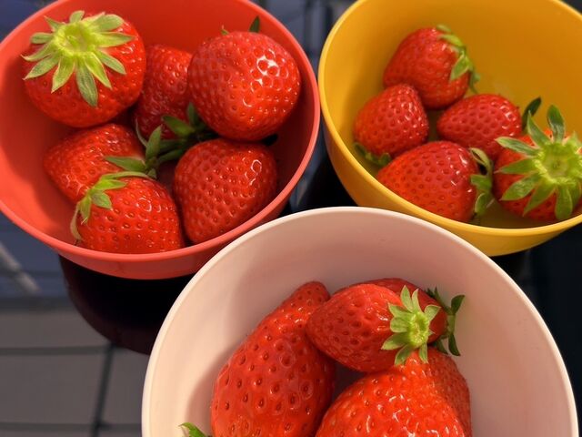 �H�ה�ׂ��ł��Ċy���������ł�_FUNDAYFARM