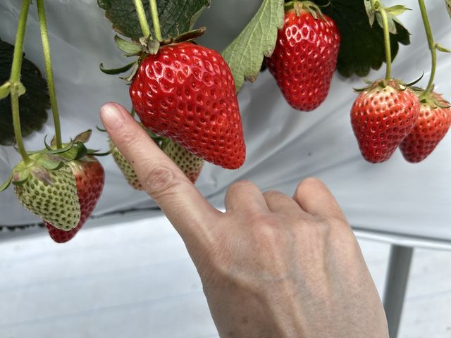 ����Ȃɑ傫��_goone5