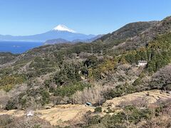 Shota����̐Ε��̒I�c �W�]��ւ̓��e�ʐ^1