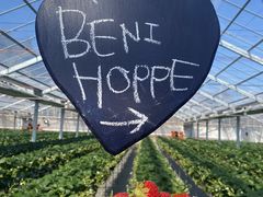 joumonfarmi傤ӂ[ށj̎ʐ^1