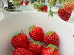 ҂̌(䂢)t@[ւ̓eʐ^3