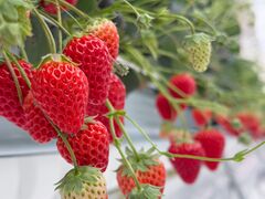 ҂̌(䂢)t@[ւ̓eʐ^4