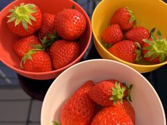 炳FUNDAYFARMւ̓eʐ^1