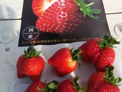 �܂�����g�g�������STRAWBERRY GARDEN ROYAL�ւ̓��e�ʐ^1