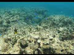 ̐Ί_ ADVENTURE PiPiւ̓eʐ^1