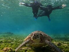 ₳̃I[X[Vm[P{Óւ̓eʐ^1