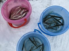 Cǂ񂳂̏ETAKUMIH[ւ̓eʐ^1