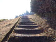 yosshy̎։zW]̓eʐ^2