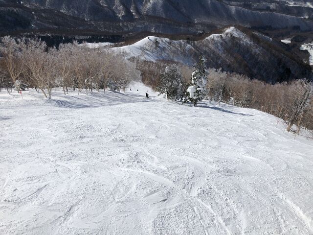 ���̖ؗ��R�[�X_�����X�L�[�p�[�N