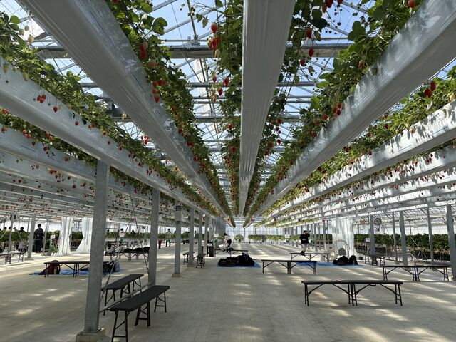 �S�̎ʐ^_�R��Ԃǂ���������