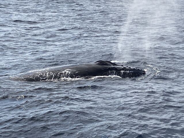 ������ЃZ�����A���u���[