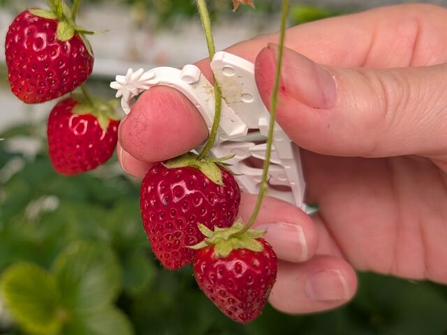 ��p�̎����Ƃ������S�ȃn�T�~�B�͂��炸�ŊȒP�Ɏg���܂����B_���b�`�t�B�[���h�Ó�_��