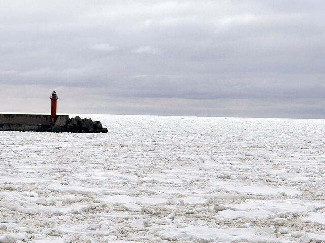 Xłт藬XĂ܂B_ԑXόӕXD[