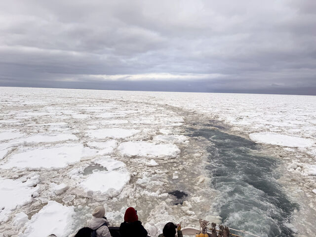 ϖȗXόłB_ԑXόӕXD[