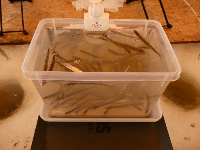 ꂾނΑ喞ł_vKChcA[Dy