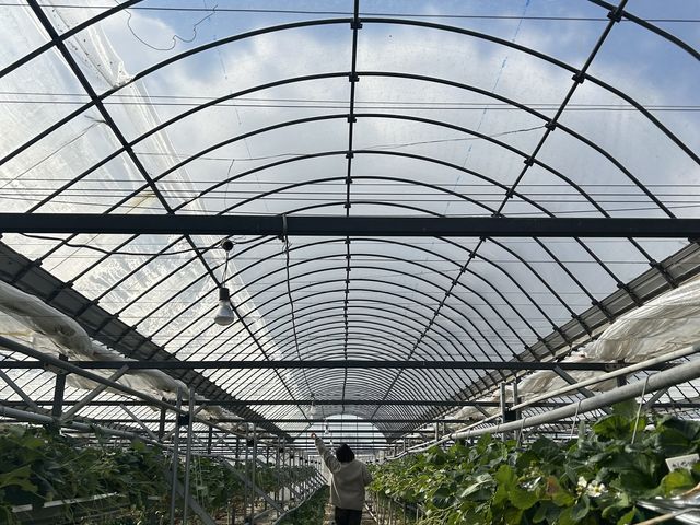 ���������肢���[��_�{�c��������