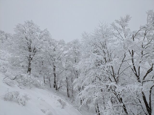 ����ł����B_���n��Ɖ���