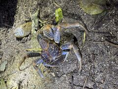 ɂ񂳂̐Ί_ ADVENTURE PiPiւ̓eʐ^1