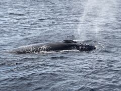 Ђ肳̊ЃZAu[ւ̓eʐ^1