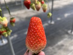 Nat����̂f���������a���������ւ̓��e�ʐ^1