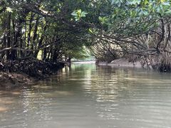 Aj[̐Ί_ ADVENTURE PiPiւ̓eʐ^1